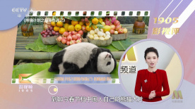 调教h